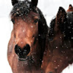 Meet your Posher, Klairece